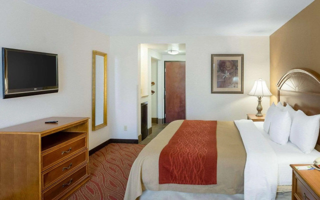 Comfort Inn & Suites Near Medical Center