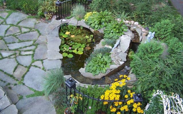 Bellinger Rose Bed & Breakfast