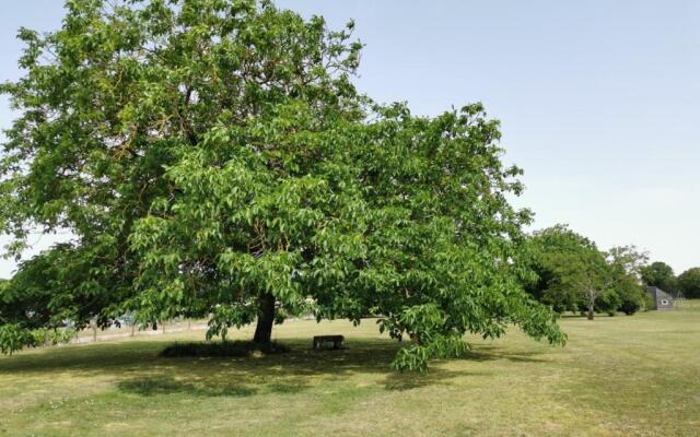 LAncienne Distillerie