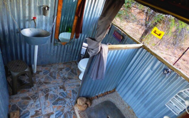 Thorn Tree Bush Camp