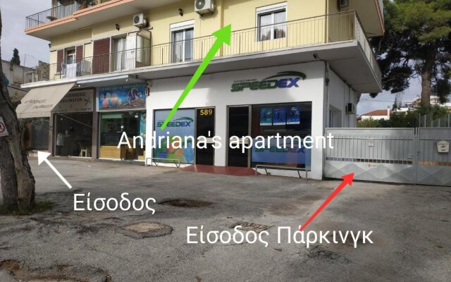 Andriana' s apartment Agia Paraskevi