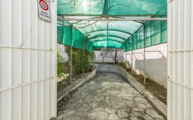 3821 VBR - Mono Rosa by Barbarhouse