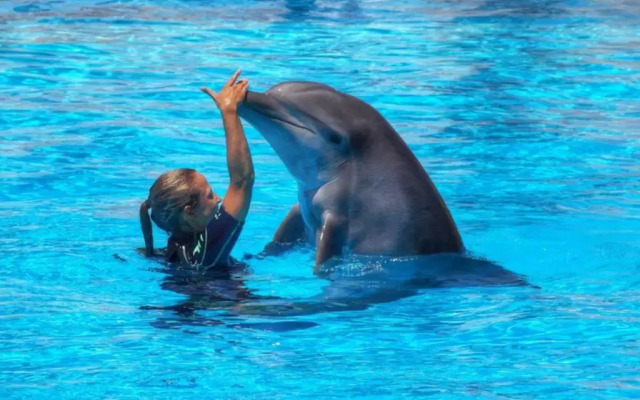 Tasteful apartment near the beach Ref 107