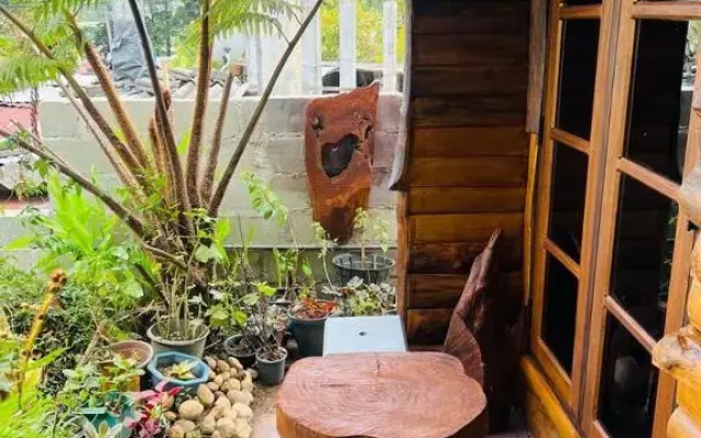 20/20 wood cabana