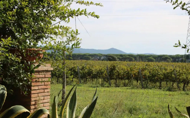 Podere Campo alle Serpi