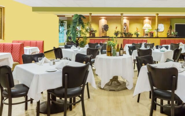 Uptown Oasis San Jose Airport