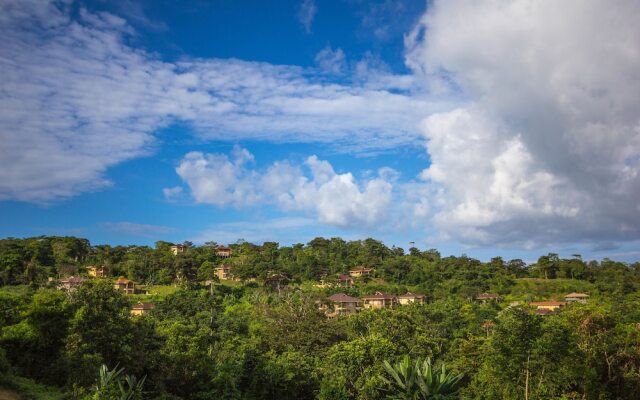 The Island Hub at Red Frog Beach Resort