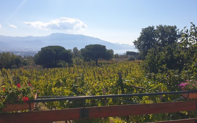 Room-apartment Pompeii Rendine