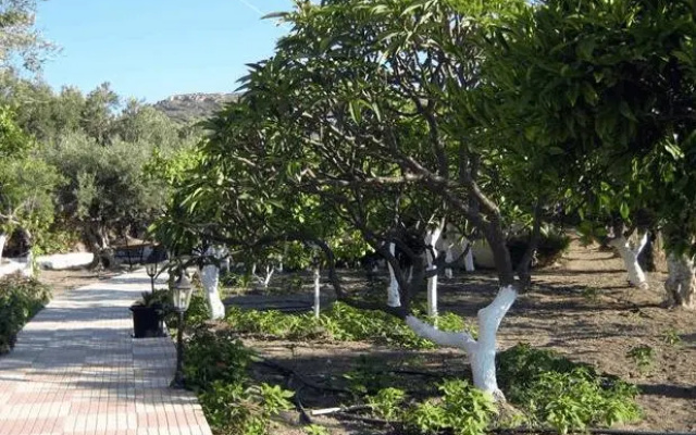 Paradise Studios