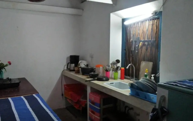 The Jungle House