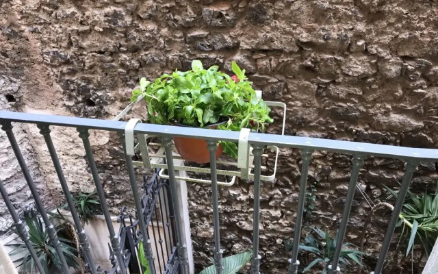 Free Flat