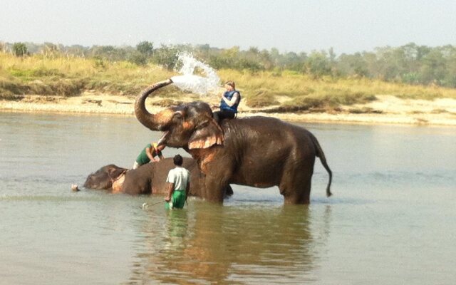 Chitwan Village Resort