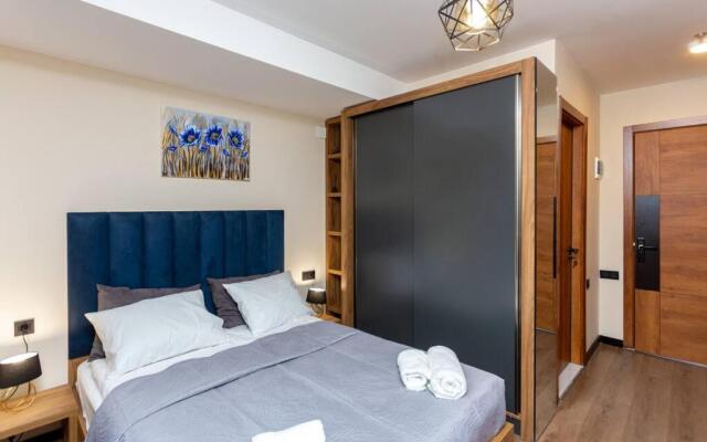 Cozy Studio Apartment in Marshall Gudauri Project