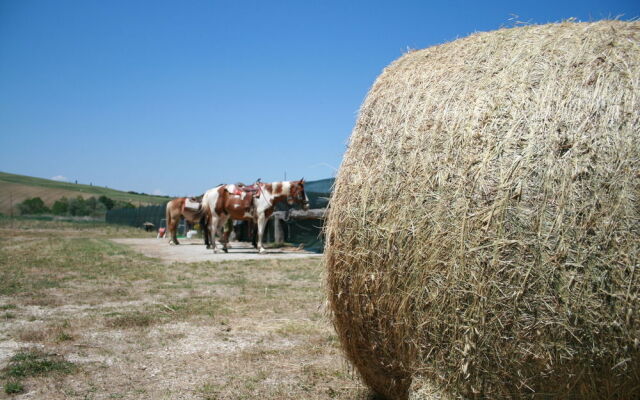 Agriturismo Bagnacci