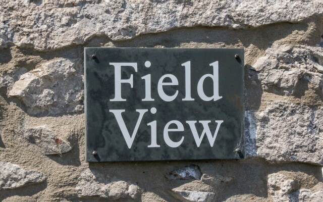 Field View