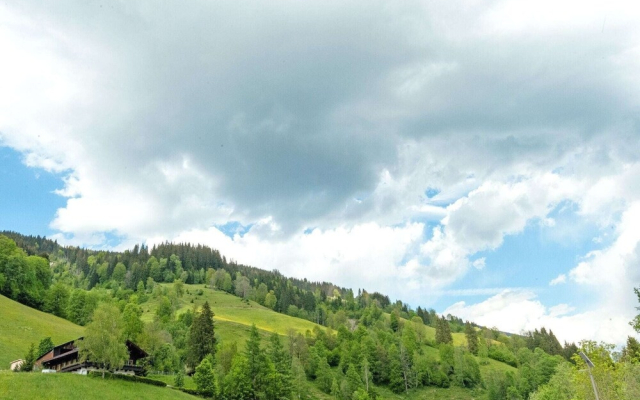 Ravishing Apartment in Saalbach with Sauna near Ski Slopes