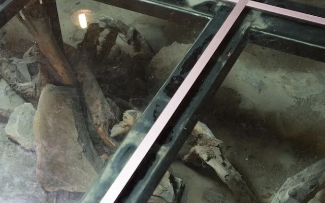 Hotel Ristorante Mulino Iannarelli