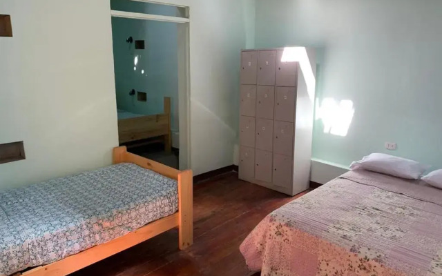 Wild Olive Guest House
