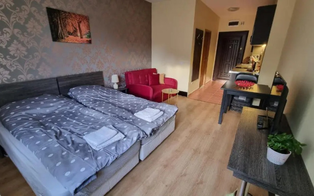 Borovets Hills Apartments - Studio 33