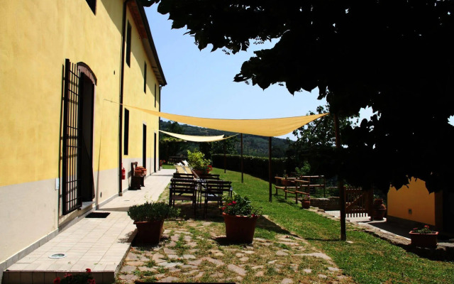 Colle Da Vinci