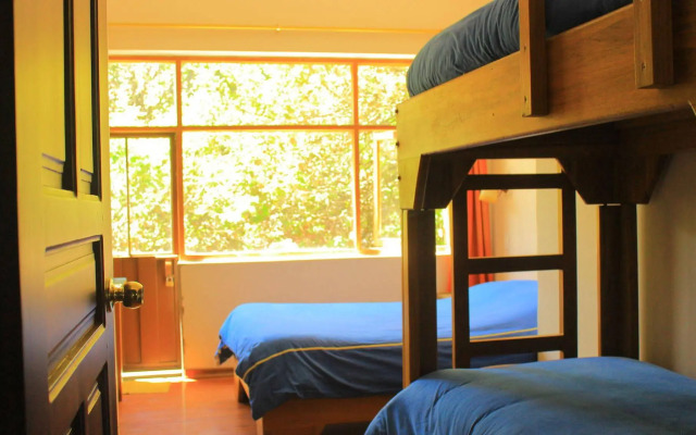 Posada del Maple - Hostel