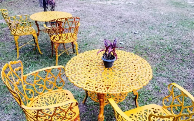 O Brejo Encantado