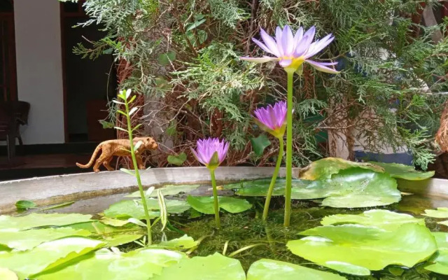 The King's Garden Resort