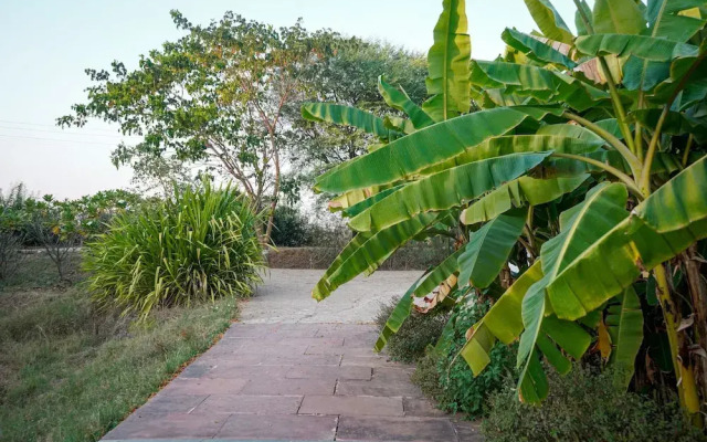 Beyond Stay Mahua Tola Tadoba