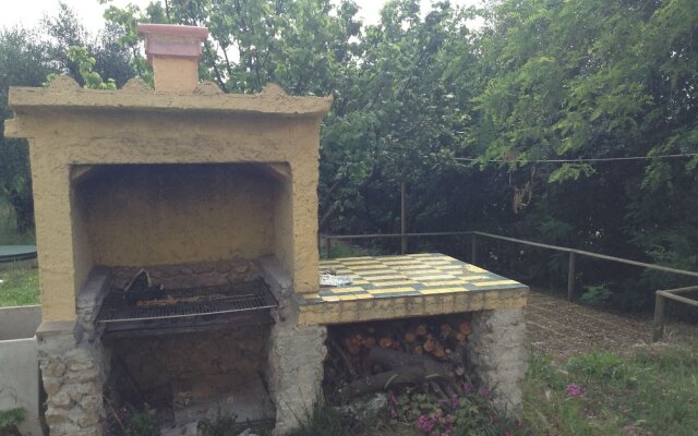 The House With Terrace