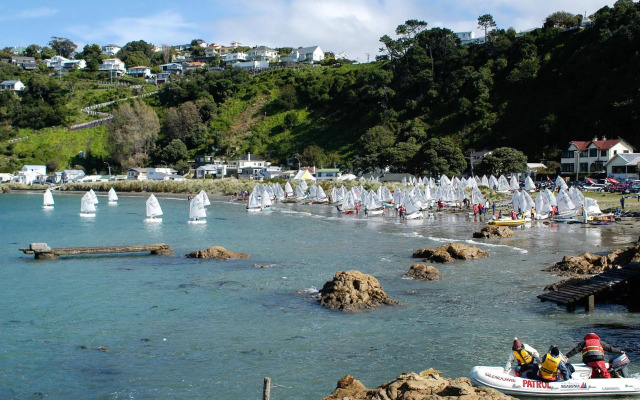 Beachfront Wellington Bed and Breakfast