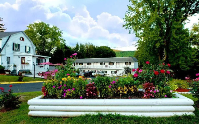 Willows Motel Williamstown