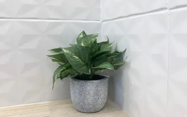 Chaleureux Studio 30m2 - Au pied de la Gare - PARKING