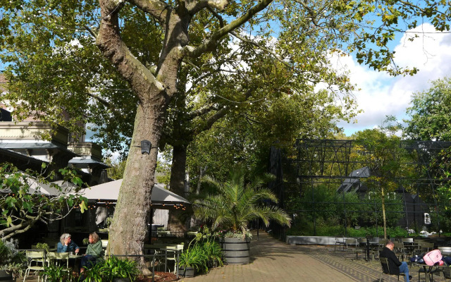 De Jonker Urban Studio's & Suites