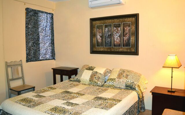 All Seasons Belize