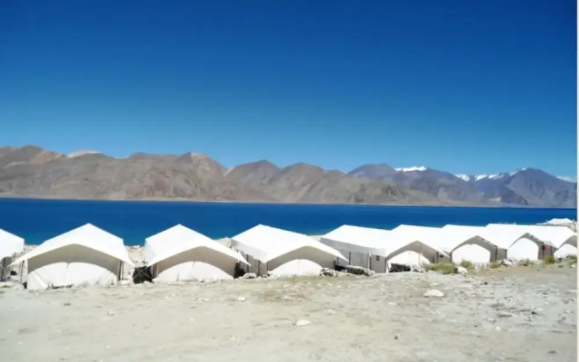 Royal Camp - Pangong