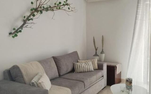 The mulberry apartment