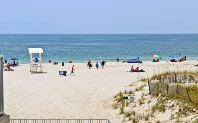 Whaler by Youngs Suncoast