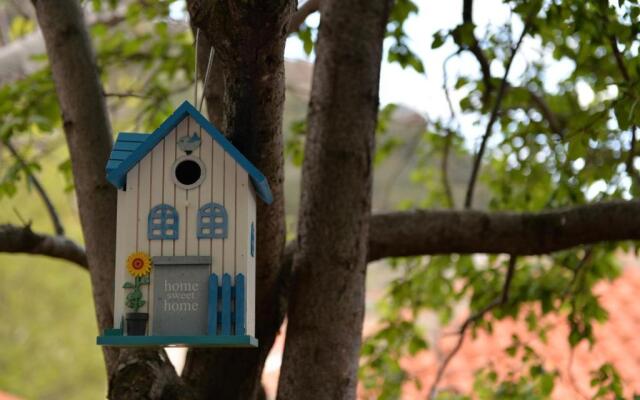 The fig tree house