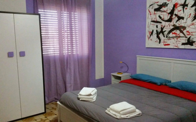 B&B Colors
