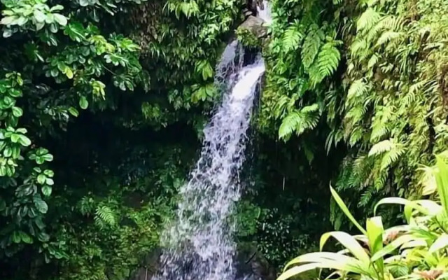 Ocean Oasis Hotel Dominica