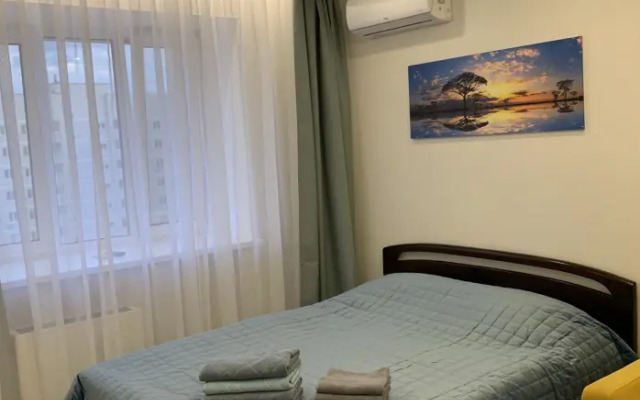 Леонардо на Академика Лаврентьева