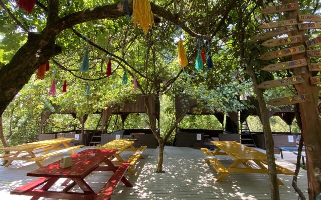 Olympos Camlik Pansiyon