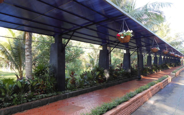 Minera Hot Springs Binh Chau