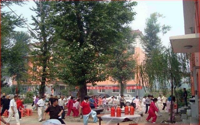 Wu'an Donghao Inn – People – Handan