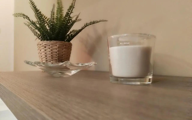 House Procaccini, 20