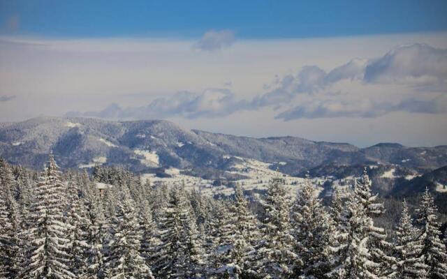 Apartments Borovets