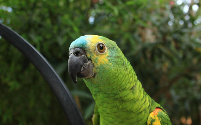 Petit Hotel Es Figueral