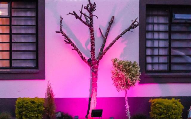 Evans Village - Stunning Apartments