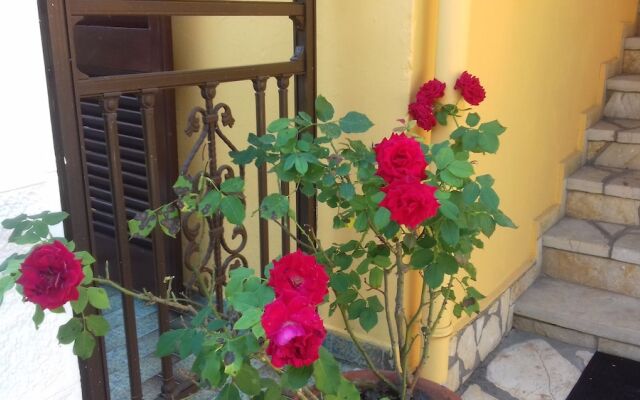 Corfu Dream Fani