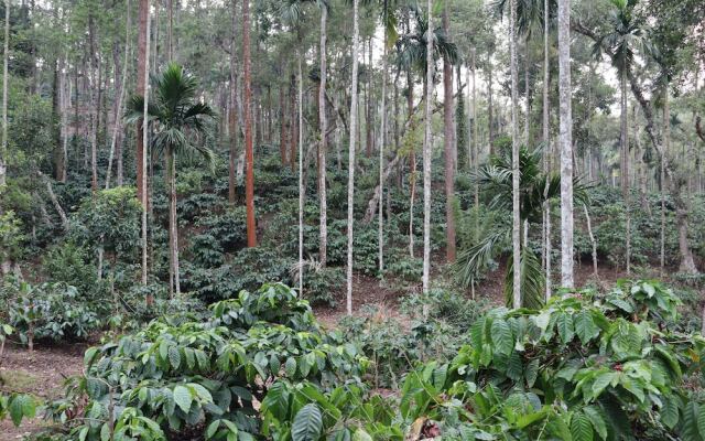 Tranquil Resort Wayanad